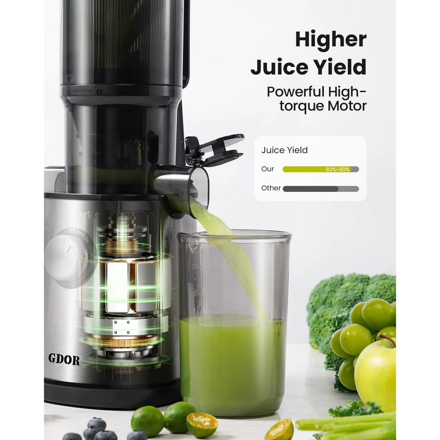Cold Press Juicer Machines, 4.25'' Large Feed Chute Masticating Slow Juicer Fits Whole Fruits and Vegetables, Low Noise, Silver